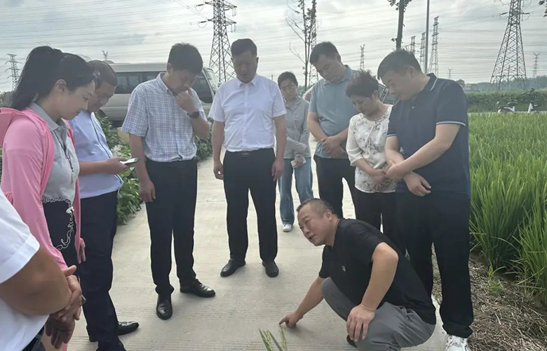 泗阳县赴市经开区矩阵研究院考察学习农业产业发展