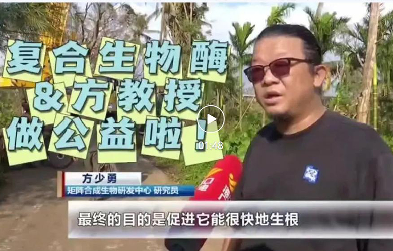 入园企业接力救援，百年古树“站”起来了！