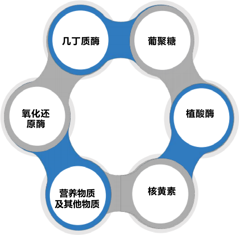 产品设计思路及成分介绍