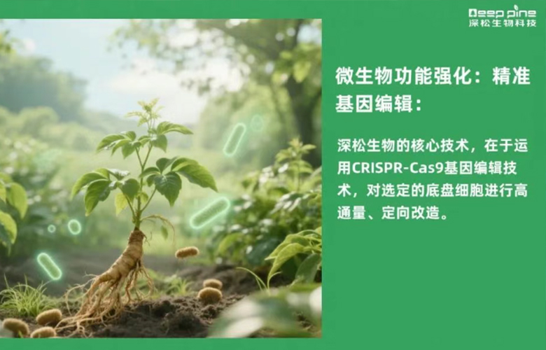 深松生物以合成生物技术+AI创新驱动中草药种植革新，打造零农残、高药效的绿色中药农业